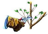 pruning-removebg-preview%20(1)_edited.pn