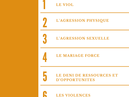 QU'EST CE QUE LES VIOLENCES BASEES SUR LE GENRE?