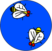 Courtship