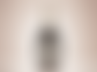 Laurent-Perrier lancerer "Heritage"