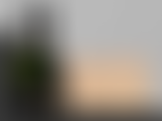 Bollinger præsenterer to nyheder