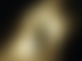 Rare-Champagne klar med ny årgang