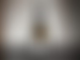 100% Grand Cru champagne fra Henriot