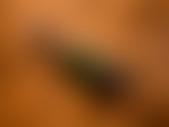 Pol Roger Sir Winston Churchill 2015