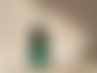 Canard-Duchene lancerer Léonie Iconic