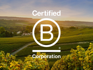 Endnu et champagnehus bliver B-Corp certificeret