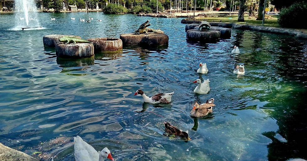 The beautiful Parque de las Naciones in Torrevieja