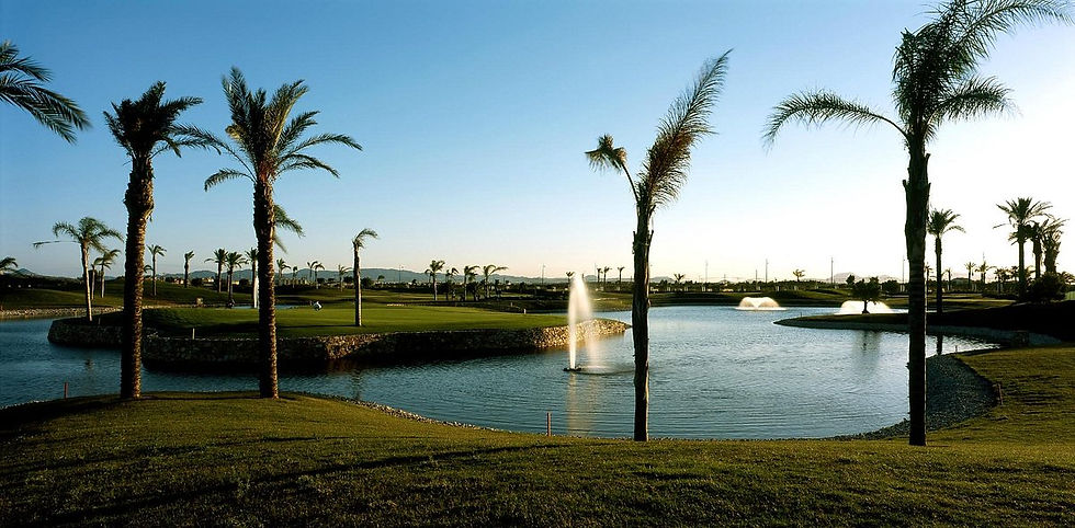 rodagolf2.jpg
