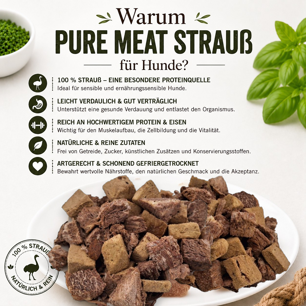 Miniaturbild: Pure Meat Strauß – Die besondere Proteinquelle für ernährungssensible Hunde
