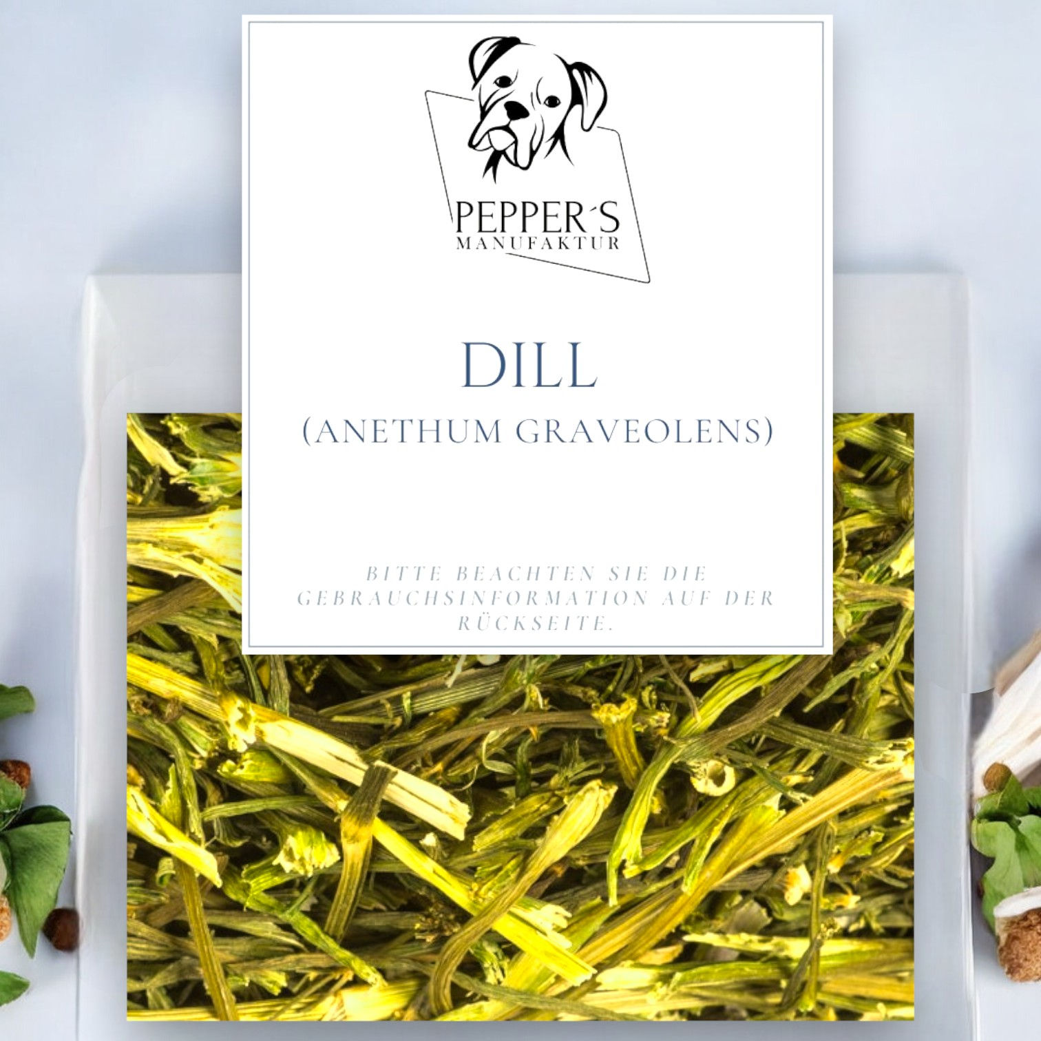 Dill (Anethum graveolens)