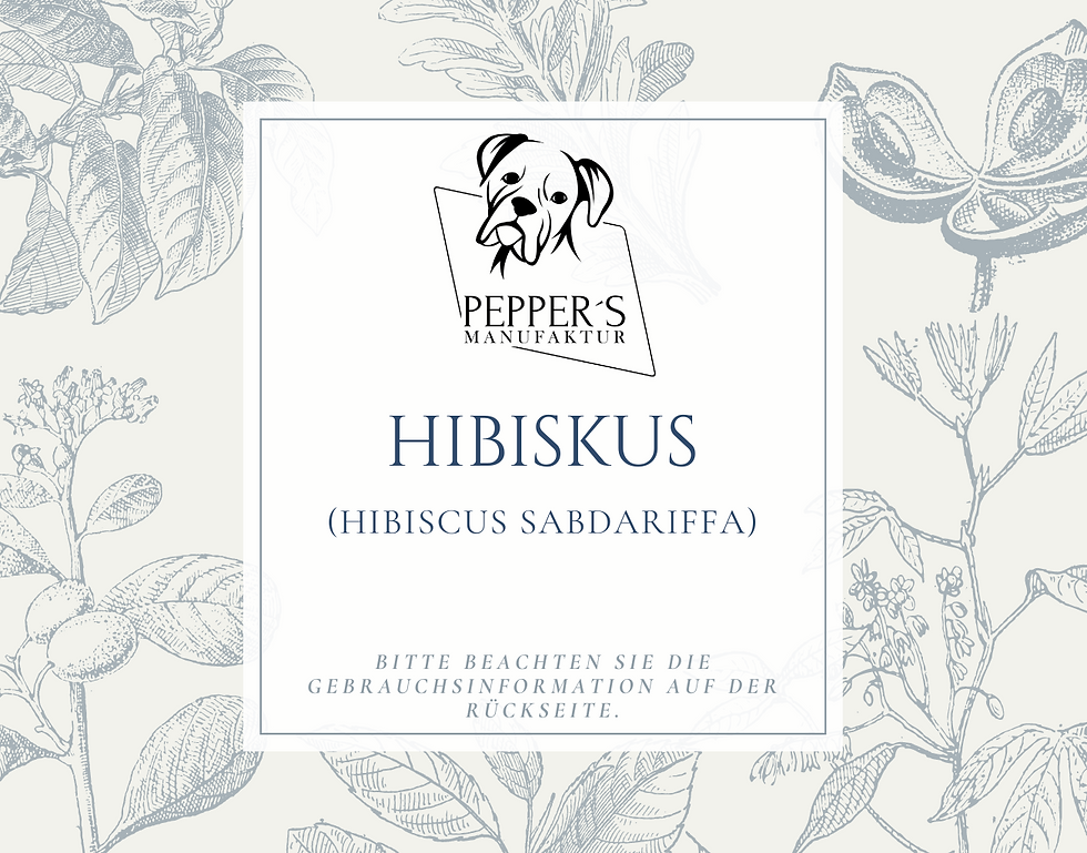 Miniaturbild: Hibiskus (Hibiscus sabdariffa)