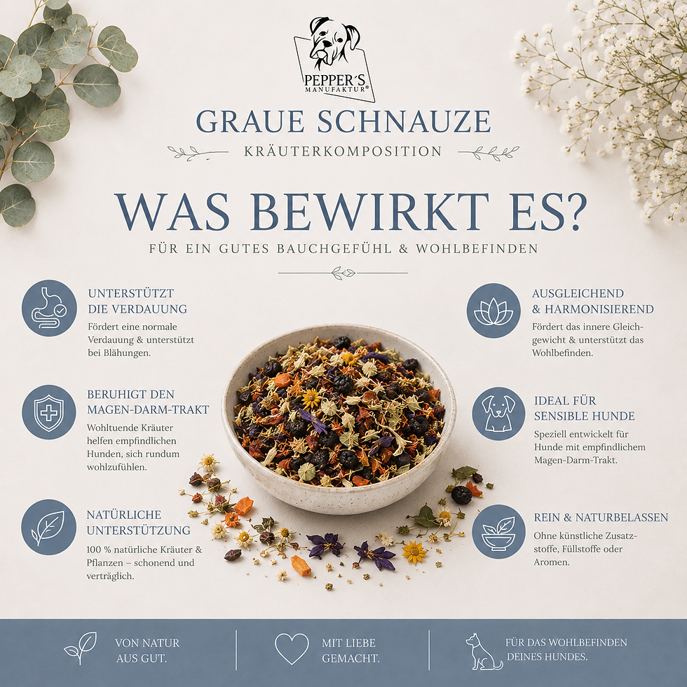 Miniaturbild: Graue Schnauze - natürliche Unterstützung für das Wohlbefinden im Alter