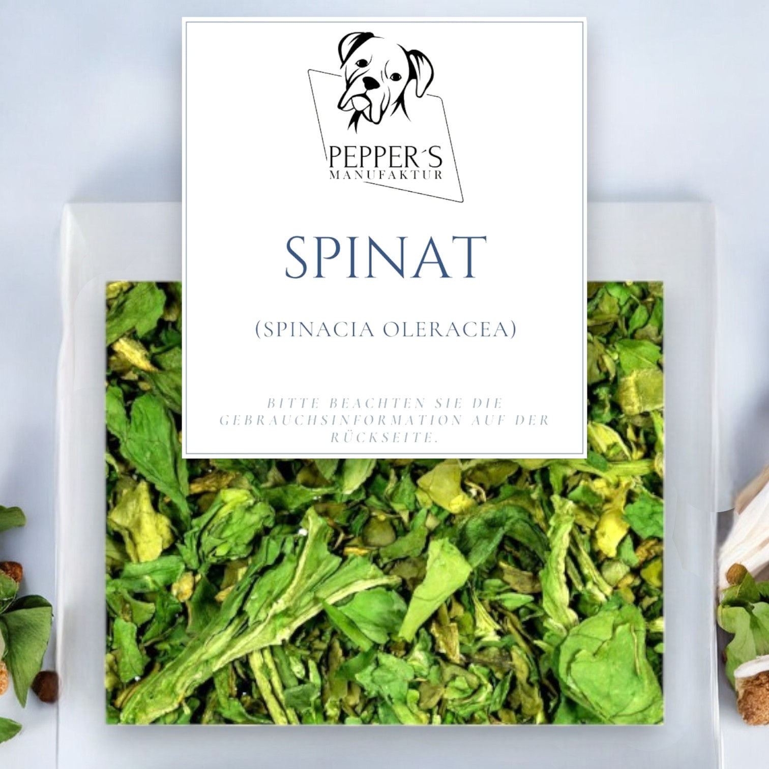 Spinat (Spinacia oleracea)