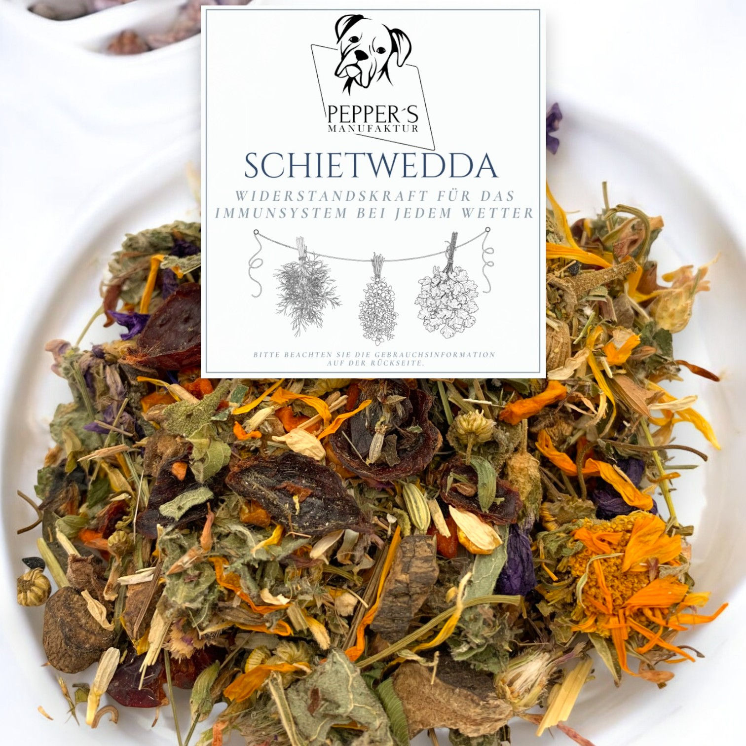 Schietwedda – Widerstandskraft für ein starkes Immunsystem bei jedem Wetter