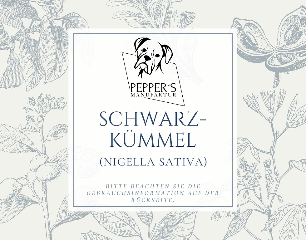 Miniaturbild: Schwarzkümmel (Nigella sativa)