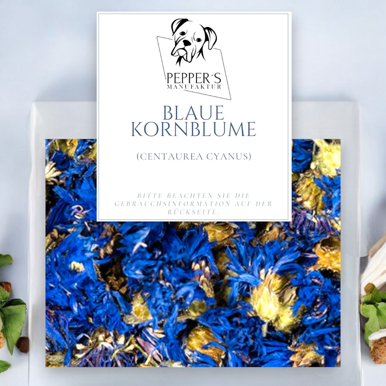 Blaue Kornblume (Centaurea cyanus)