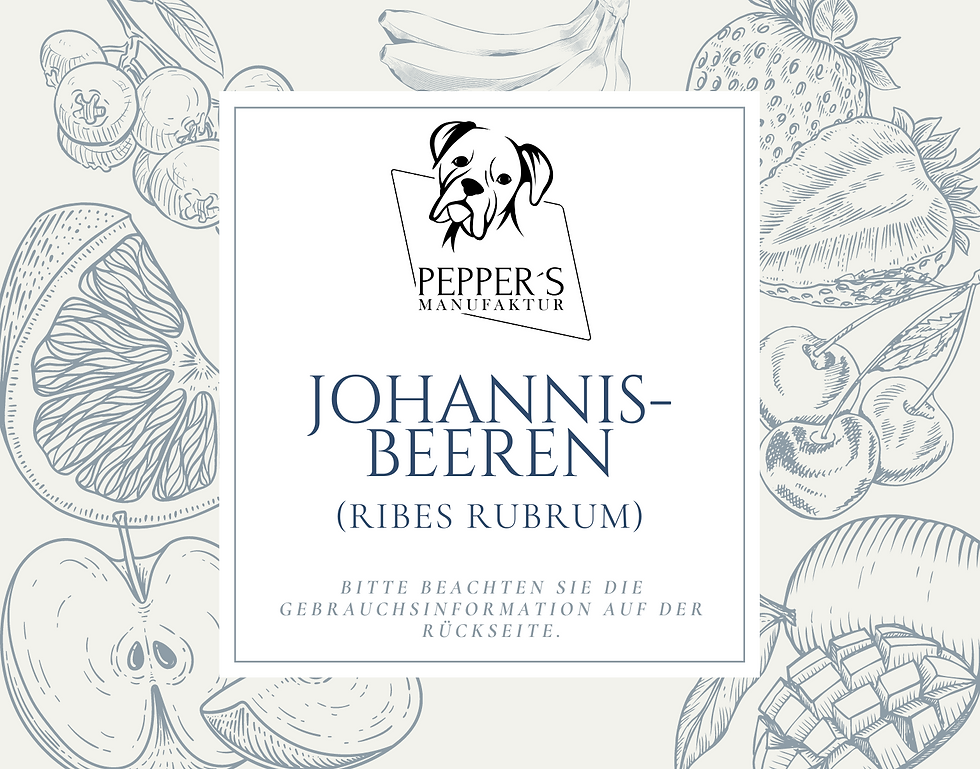 Miniaturbild: Johannisbeeren (Ribes rubrum) getrocknet