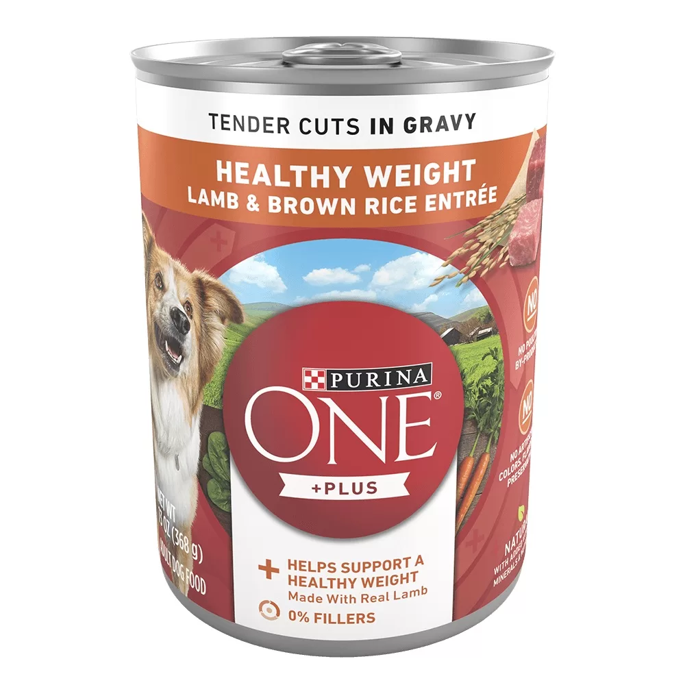 Purina - Dog One - Tender cuts -Lamb & Rice - 13 oz