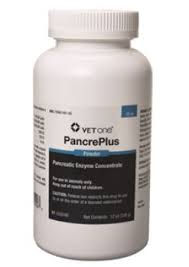 Pancre Plus Powder- 12 oz