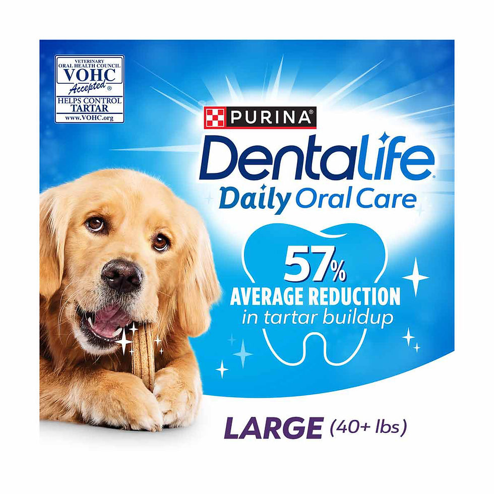 Dental Life- Daily Oral Care 7.8 oz