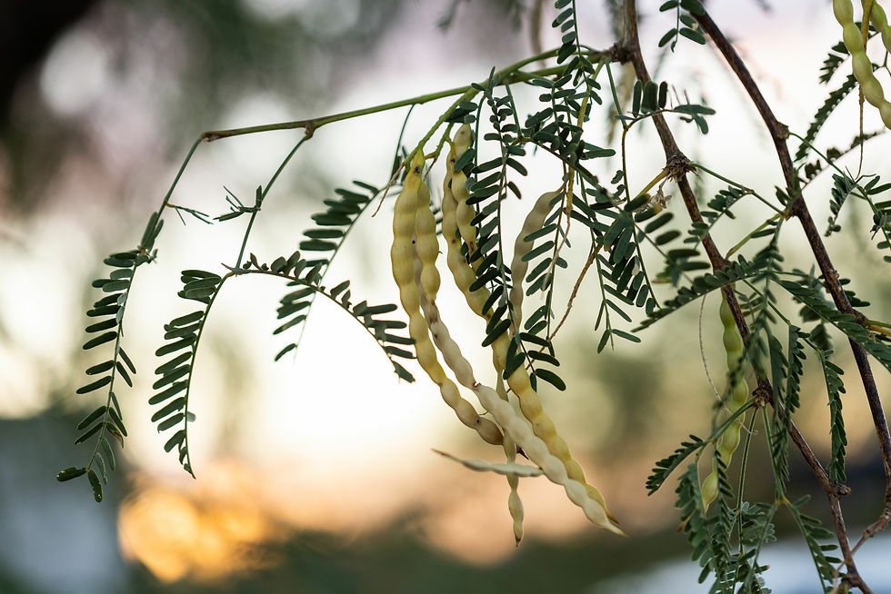 AdobeStock_592239997.jpeg