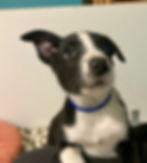 bleu 2
