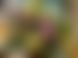 【ブログ】新年のご挨拶