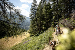 Wandern im Engadin