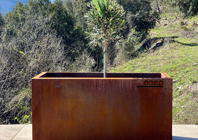 JARDINIERE COEO