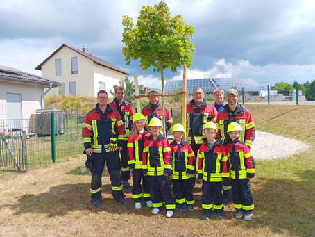 Baumpflanz-Challenge 2025