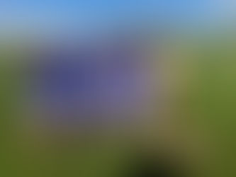 Well done, boys and girls