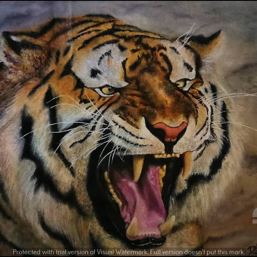 Final Tiger watermark.jpg