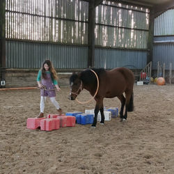 IMG_20201102_155529_edited