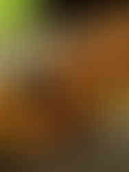 Three shrimp tacos on wooden platter with colorful vegetables, ready to eat.