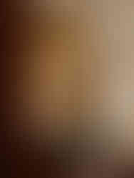 Elegant hotel room with bed and sofa; Swissotel Kolasin, a beautiful interior