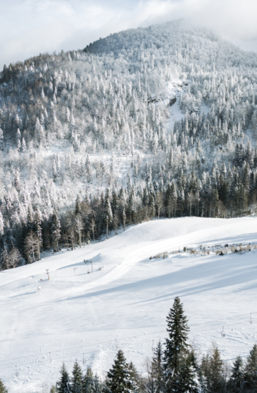 Snow-covered mountain in winter, with trees and a bright sunny sky.
