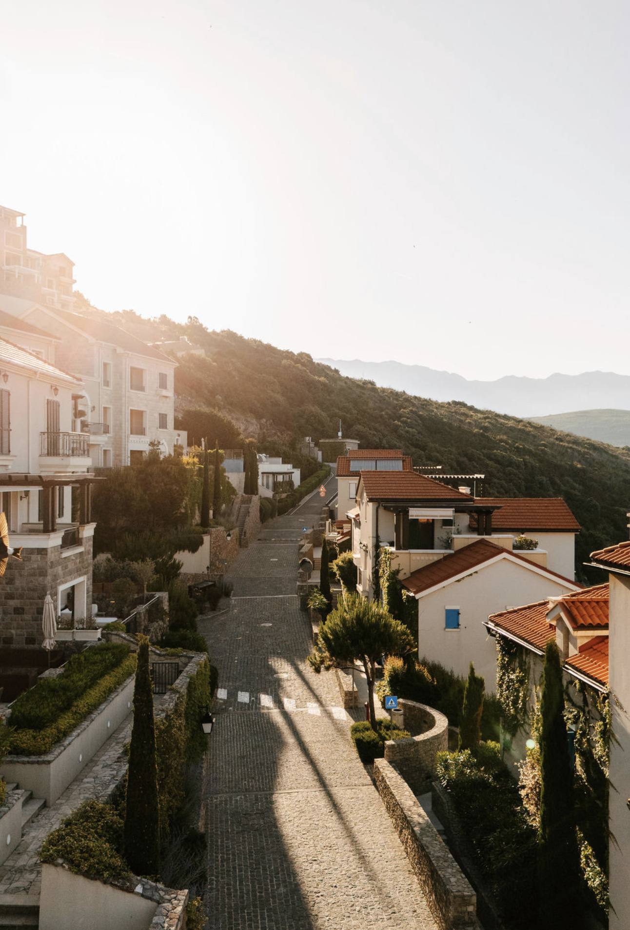 Residential buildings and road with sun shining, jelena zecevic, mountain background.