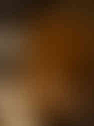 Dim sum in a bamboo steamer with small red toppings, close up.