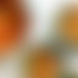 Tomato and Cannelloni Stew with Sourdough