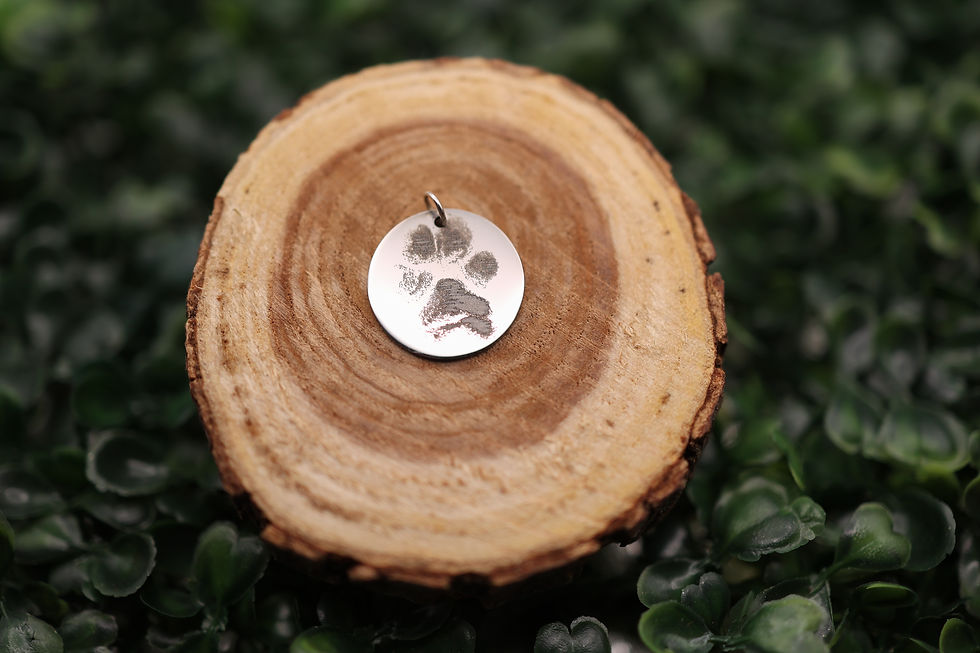 Thumbnail: Double Pendant Necklace