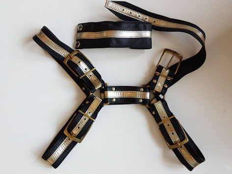 Harness Ratgeber - Überblick