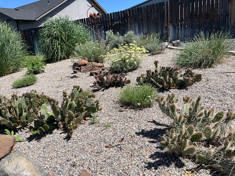 2026 Garden