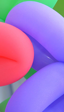 Balloon Flowers