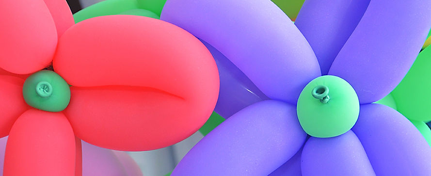 Balloon Flowers