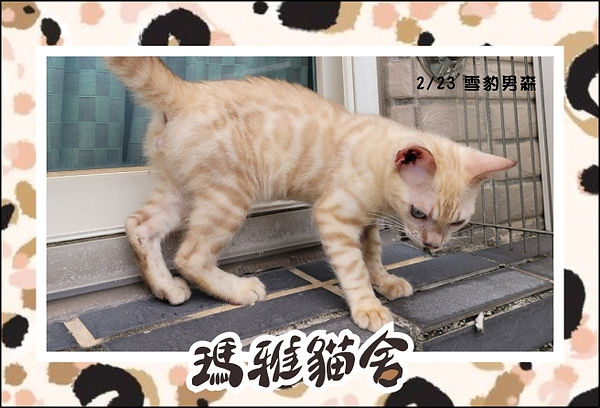 3無標題-4.jpg