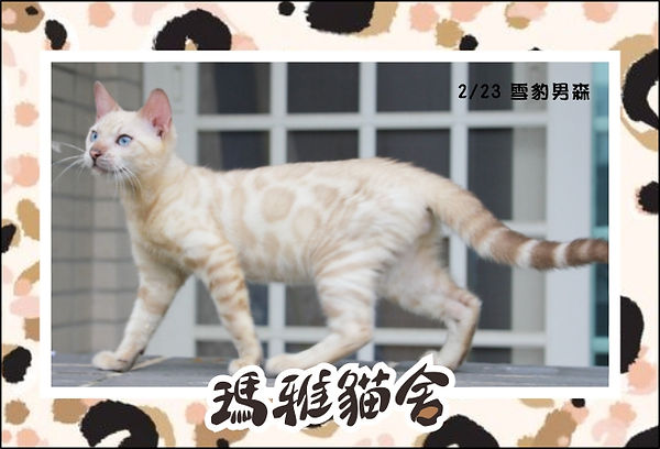 1無標題-4.jpg