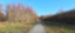 Lopers parkbos