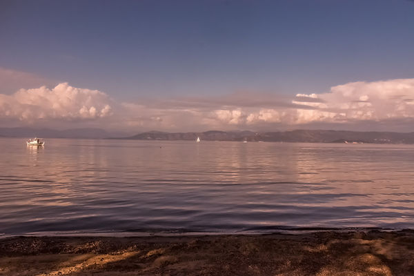 MARKOS-225-Edit-Edit-1.jpg