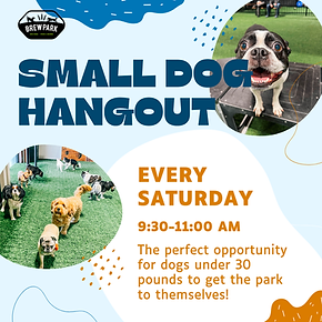 Small dog hangout and puppy mixer (1000 x 1000 px) (5).png