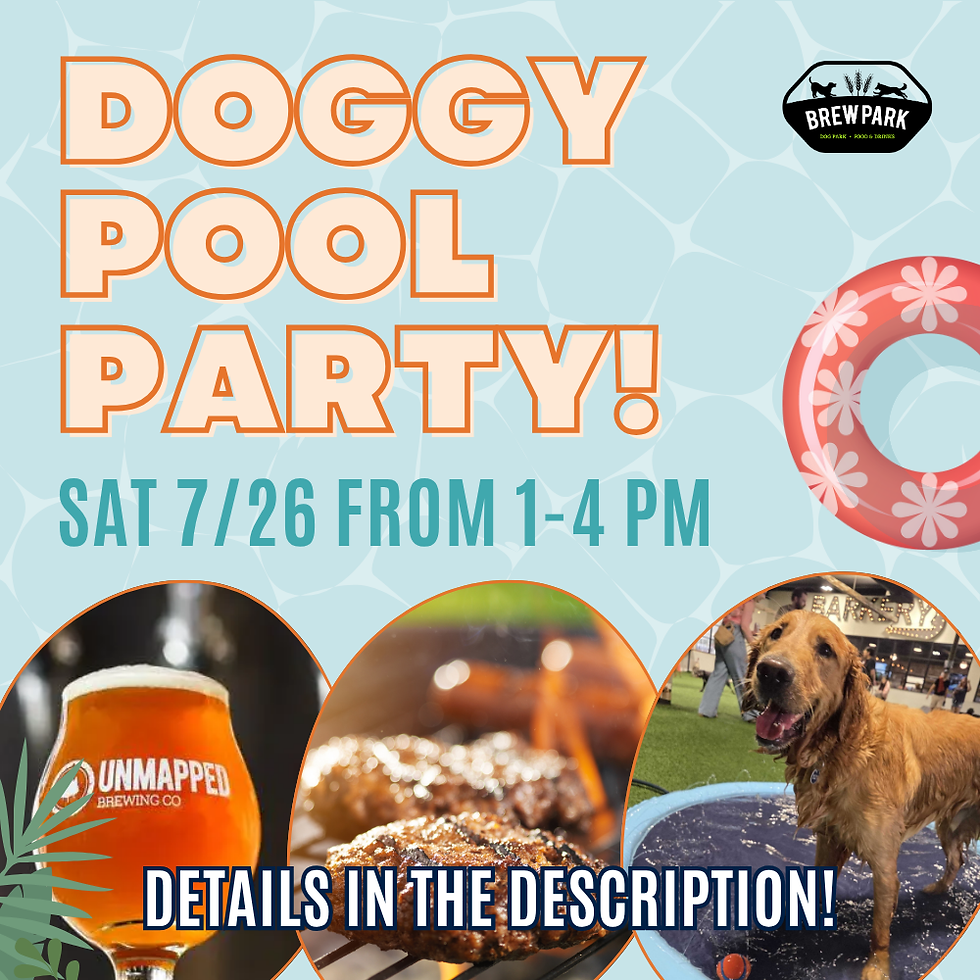 Doggy Pool Party!